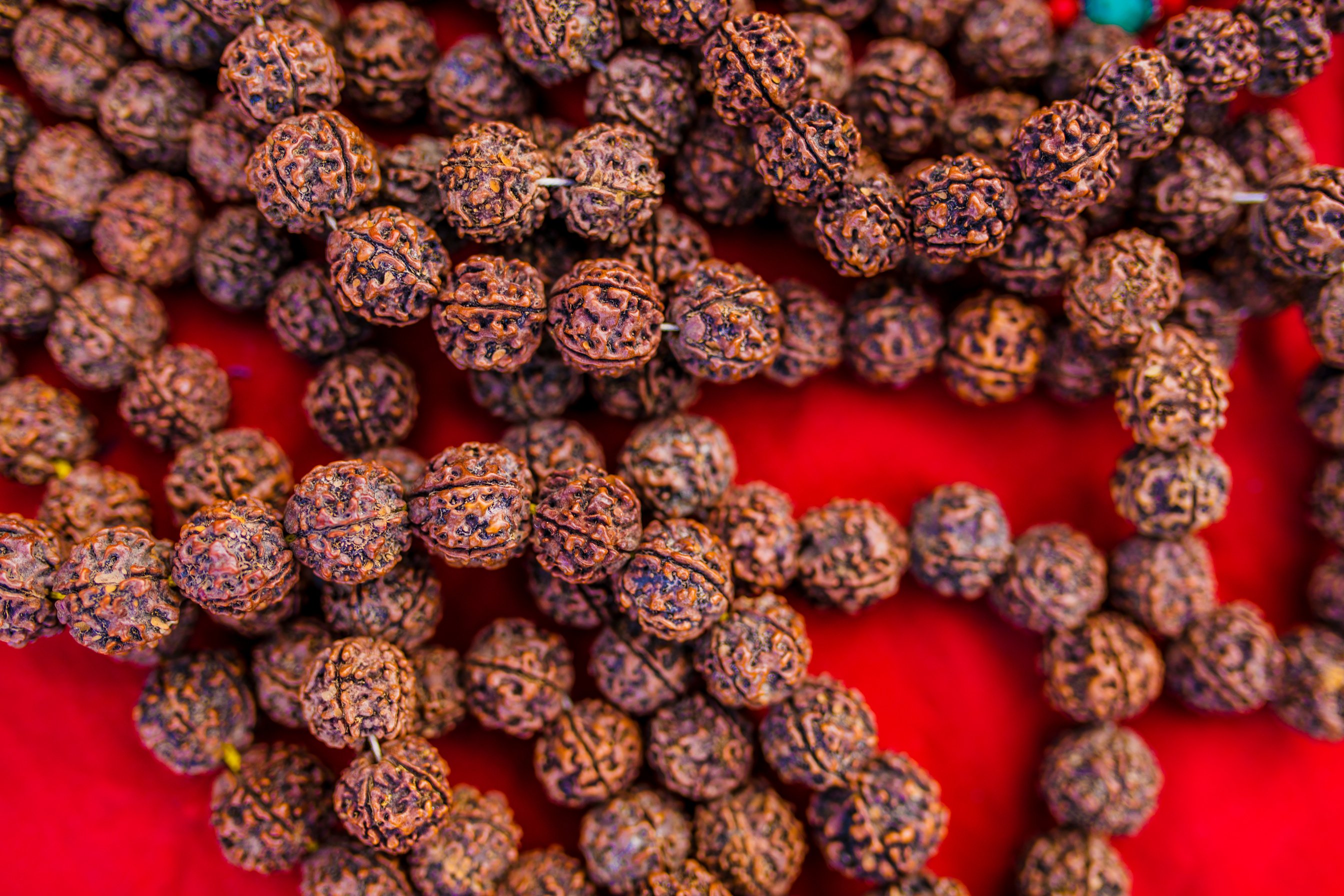 Rudraksha mala prayer beads